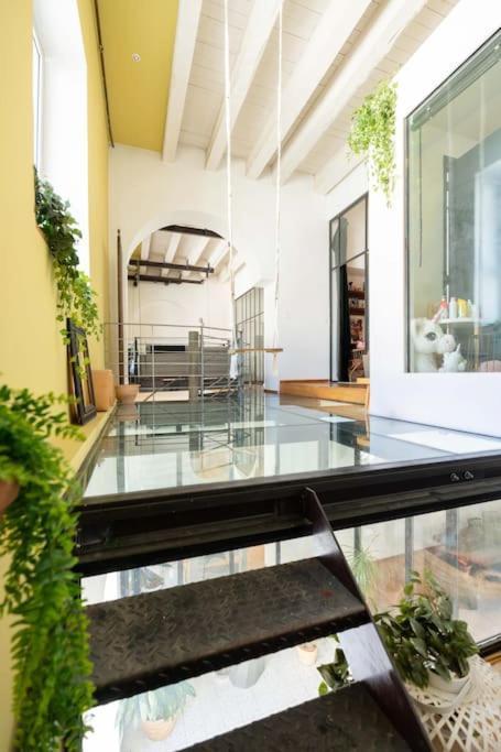 Le Loft Du Vieux-Port - St Victor Apartment Marseille Luaran gambar